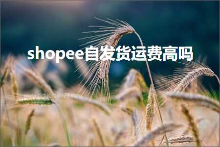 璺ㄥ鐢靛晢鐭ヨ瘑:shopee鑷彂璐ц繍璐归珮鍚? width=