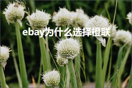 璺ㄥ鐢靛晢鐭ヨ瘑:ebay涓轰粈涔堥€夋嫨姗欒仈