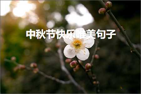 中秋节快乐唯美句子（文案370条）