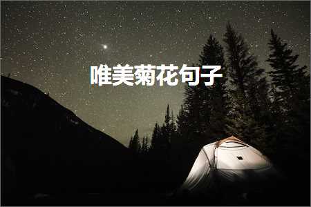 琛ㄧ櫧鏄庢槦鐨勫敮缇庡彞瀛愶紙鏂囨794鏉★級