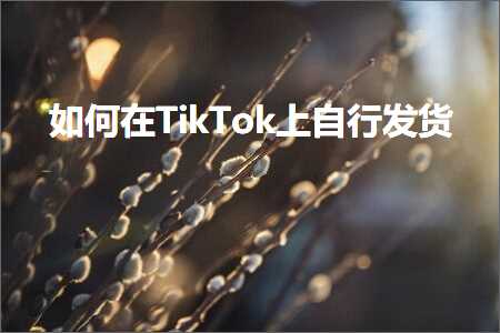 跨境电商知识:如何在TikTok上自行发货