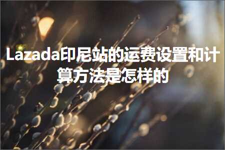 璺ㄥ鐢靛晢鐭ヨ瘑:Lazada鍗板凹绔欑殑杩愯垂璁剧疆鍜岃绠楁柟娉曟槸鎬庢牱鐨? width=